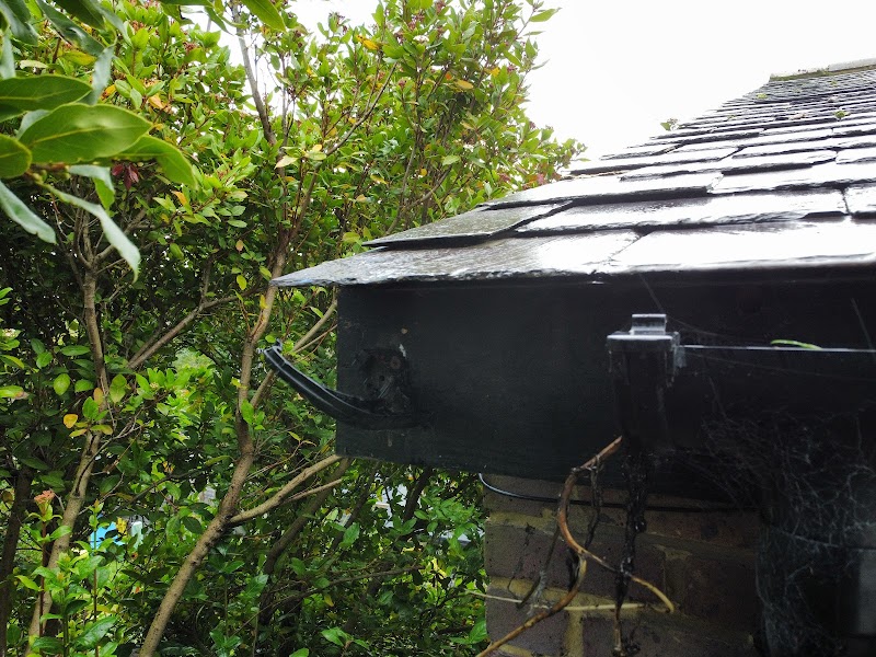Bright Drains Services photo 2