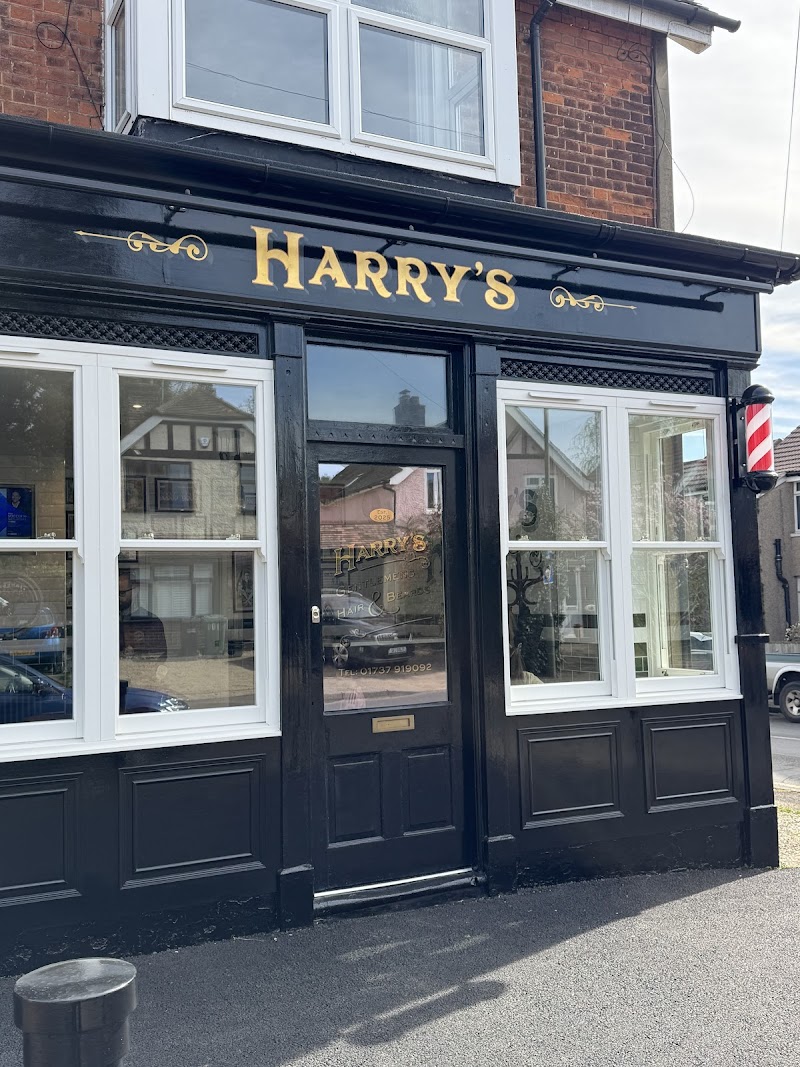 Harry's photo 2