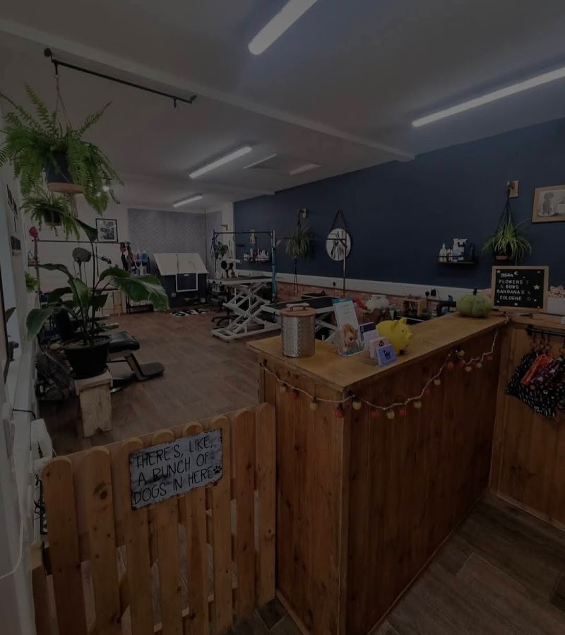 The Dog Barber photo 1