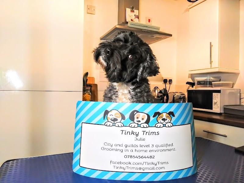 Tinky Trims Dog Grooming photo 4