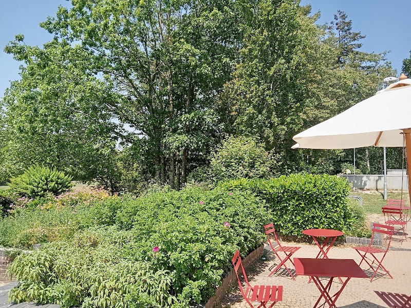 Tory's Café in the Park photo 3